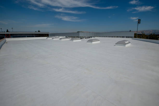 Best 4 Ply Roofing  in Senoia, GA
